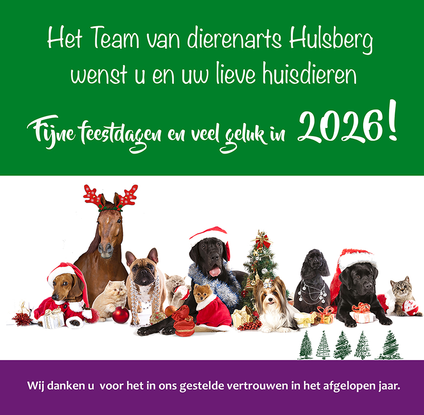 Fijne kerst en een gezond en gelukkig 2025